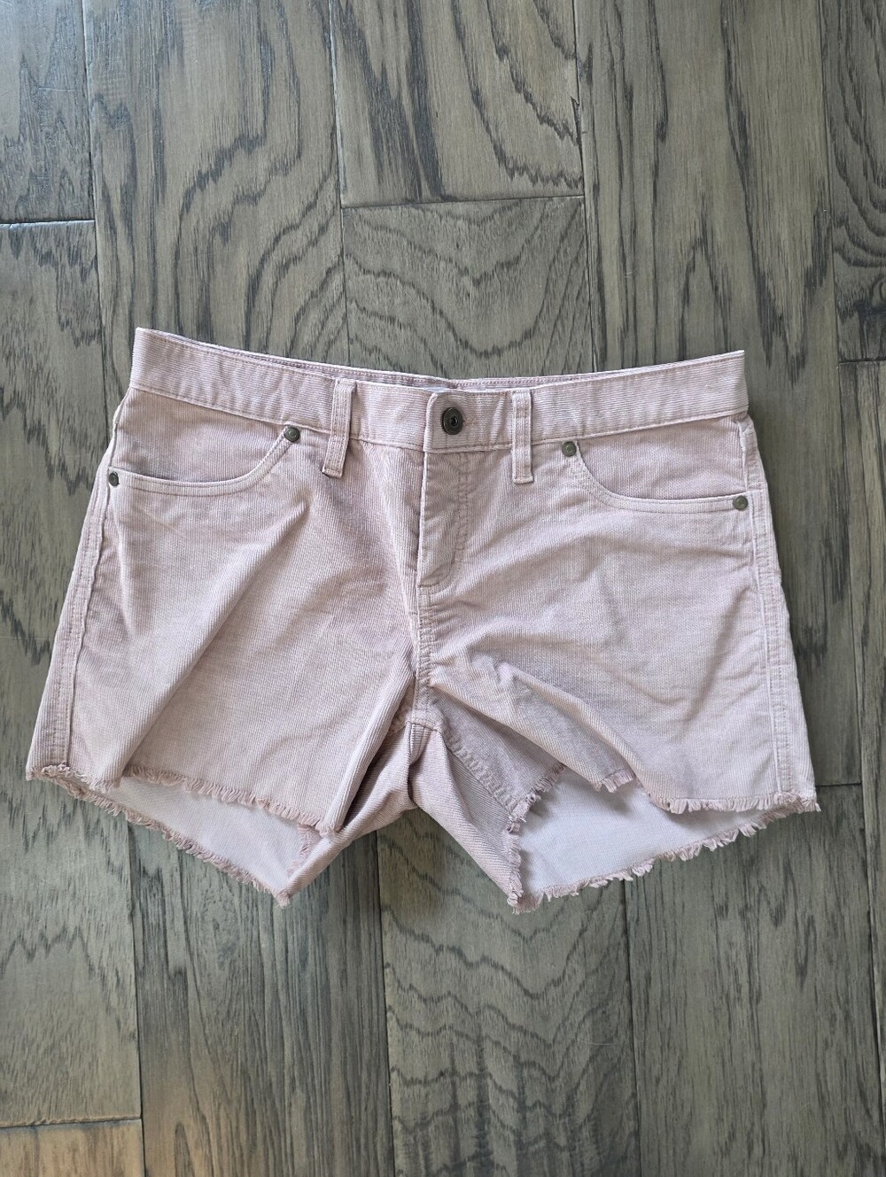 Carve Designs Oahu 4" Shorts